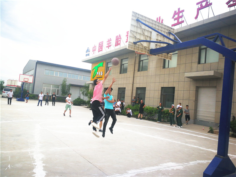 銀川伊百盛生物工程有限公司 銀川伊百盛生物工程有限公司