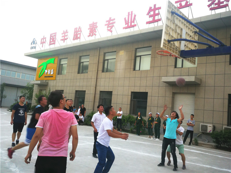 銀川伊百盛生物工程有限公司 銀川伊百盛生物工程有限公司