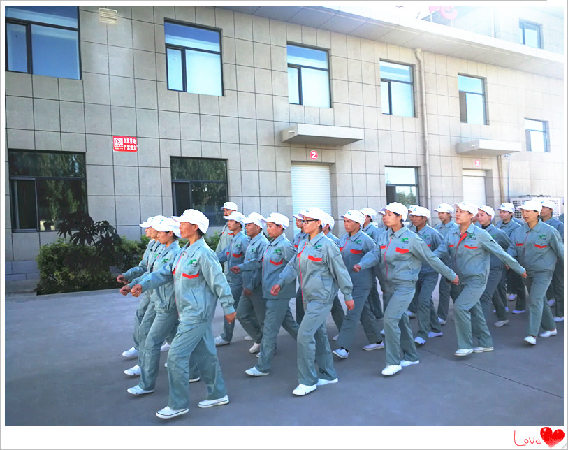 銀川伊百盛生物工程有限公司 銀川伊百盛生物工程有限公司