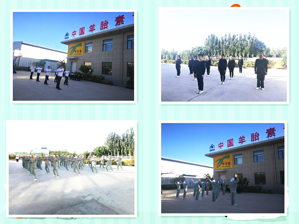 銀川伊百盛生物工程有限公司 銀川伊百盛生物工程有限公司