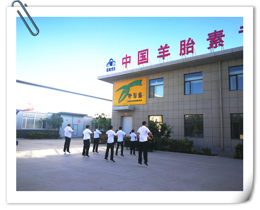 銀川伊百盛生物工程有限公司 銀川伊百盛生物工程有限公司