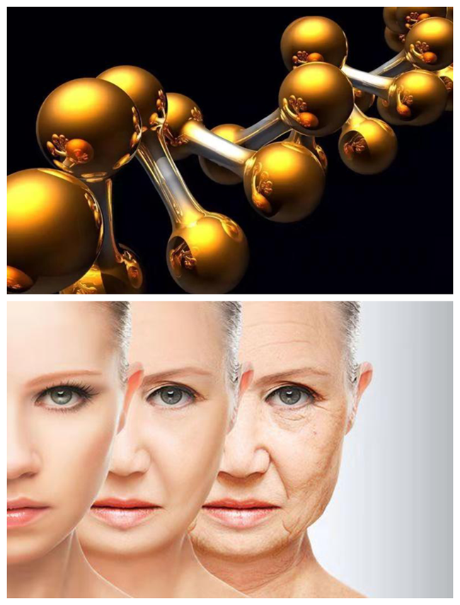 銀川伊百盛生物工程有限公司 銀川伊百盛生物工程有限公司