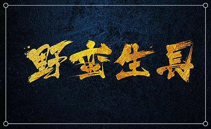 銀川伊百盛生物工程有限公司 銀川伊百盛生物工程有限公司