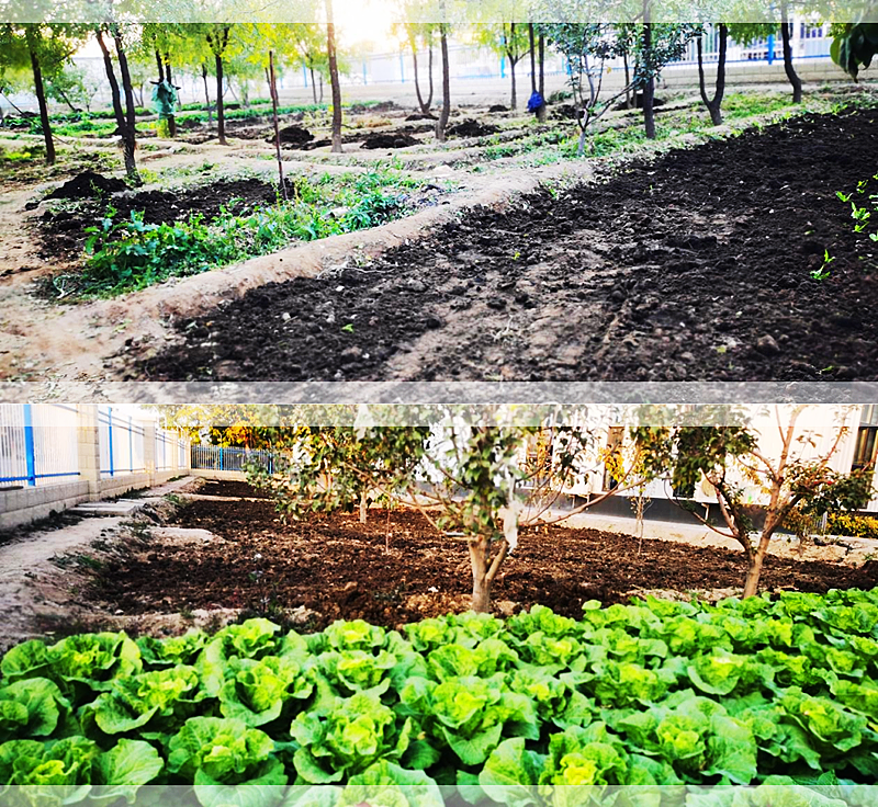 銀川伊百盛生物工程有限公司 銀川伊百盛生物工程有限公司