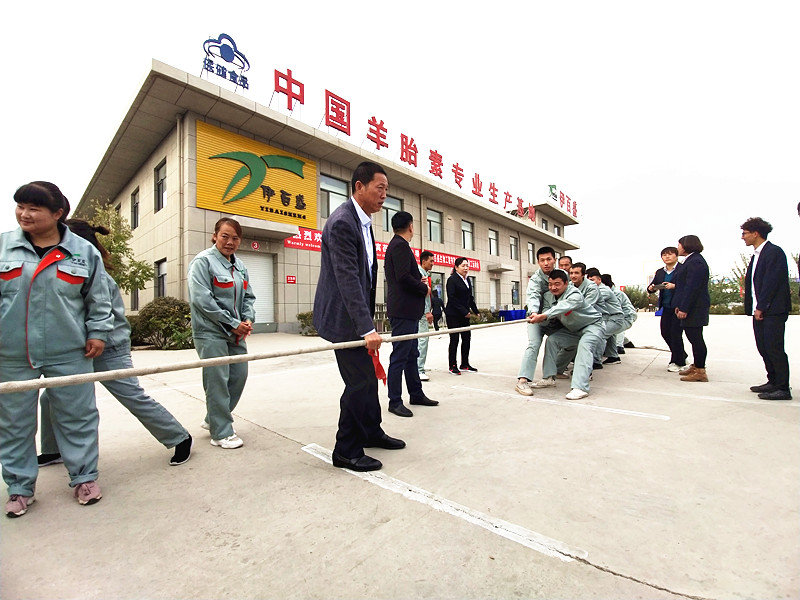 銀川伊百盛生物工程有限公司 銀川伊百盛生物工程有限公司