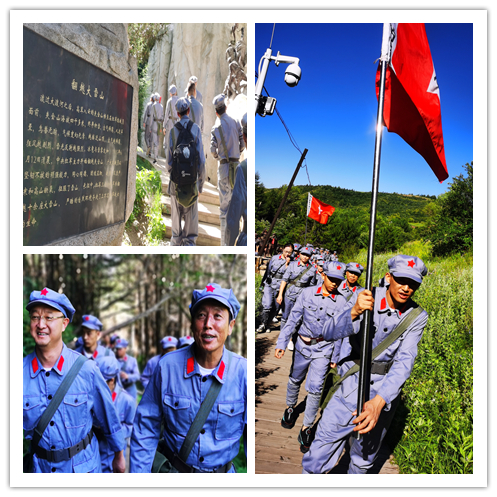 銀川伊百盛生物工程有限公司 銀川伊百盛生物工程有限公司