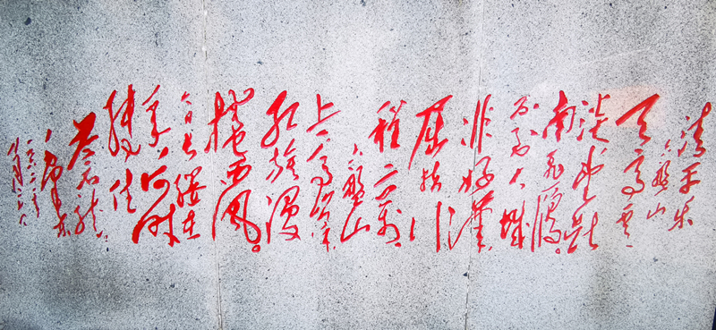 銀川伊百盛生物工程有限公司 銀川伊百盛生物工程有限公司