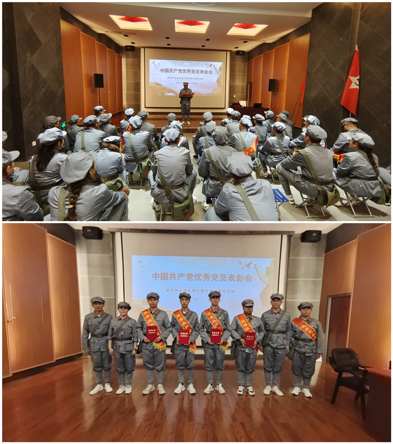 銀川伊百盛生物工程有限公司 銀川伊百盛生物工程有限公司