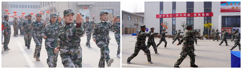 銀川伊百盛生物工程有限公司 銀川伊百盛生物工程有限公司