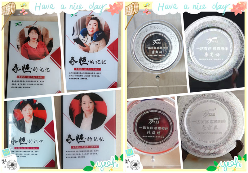 銀川伊百盛生物工程有限公司 銀川伊百盛生物工程有限公司