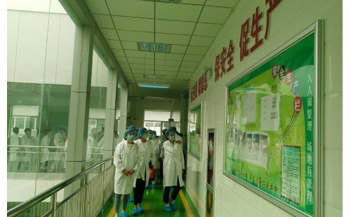 值公司成立十周年慶典，公司贊助萬名老人免費(fèi)游寧夏系列活動