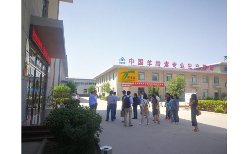 江南大學(xué)、寧夏大學(xué)課題組專家蒞臨伊百盛調(diào)研交流