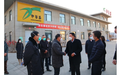 銀川市金鳳區(qū)委書(shū)記郝春明、區(qū)長(zhǎng)張濤一行蒞臨銀川伊百盛參觀調(diào)研