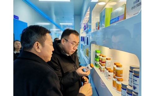 金鳳區(qū)常委、組織部長杜鈞，副區(qū)長、公安局長王占東一行蒞臨企業(yè)參觀調(diào)研