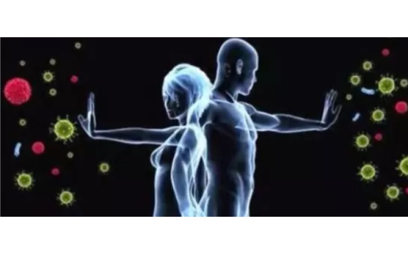 為什么補(bǔ)的是肽而不是氨基酸？